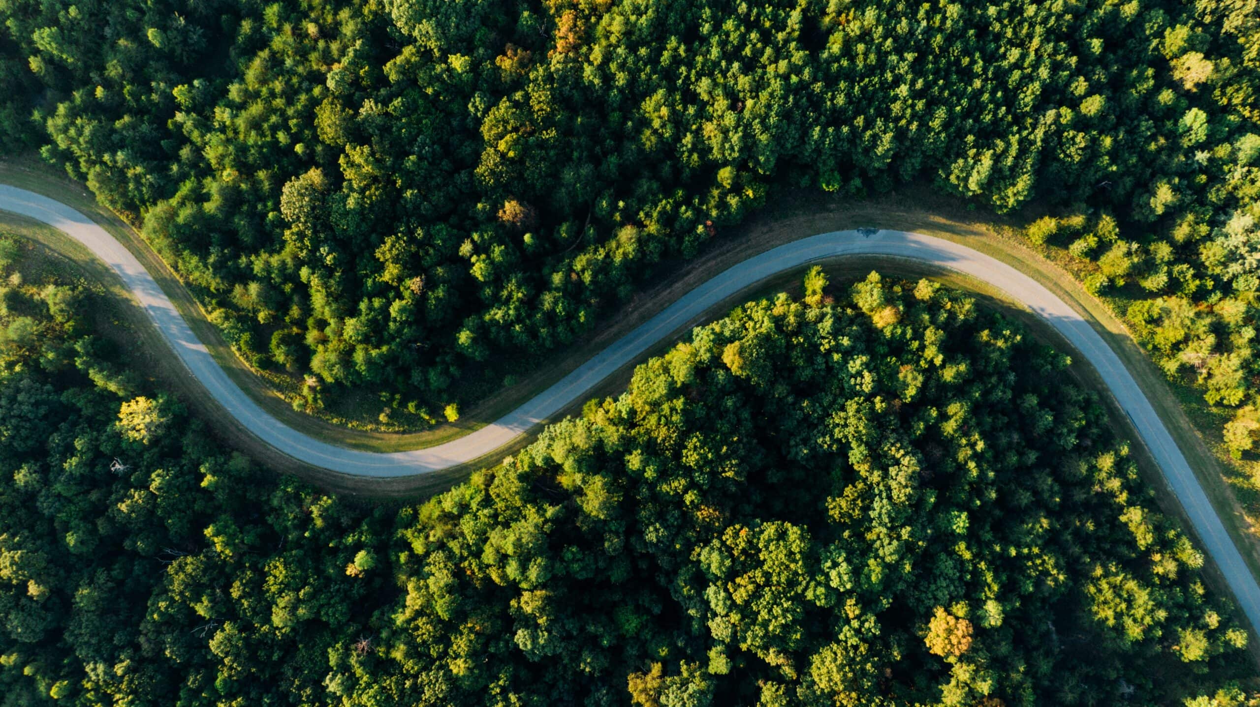IST - Höhere Fachschule für Tourismus - Unsere Marke geht neue Wege IST - Höhere Fachschule für Tourismus - Unsere Marke geht neue Wege